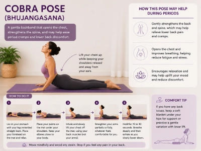 cobra pose-bhujangasana